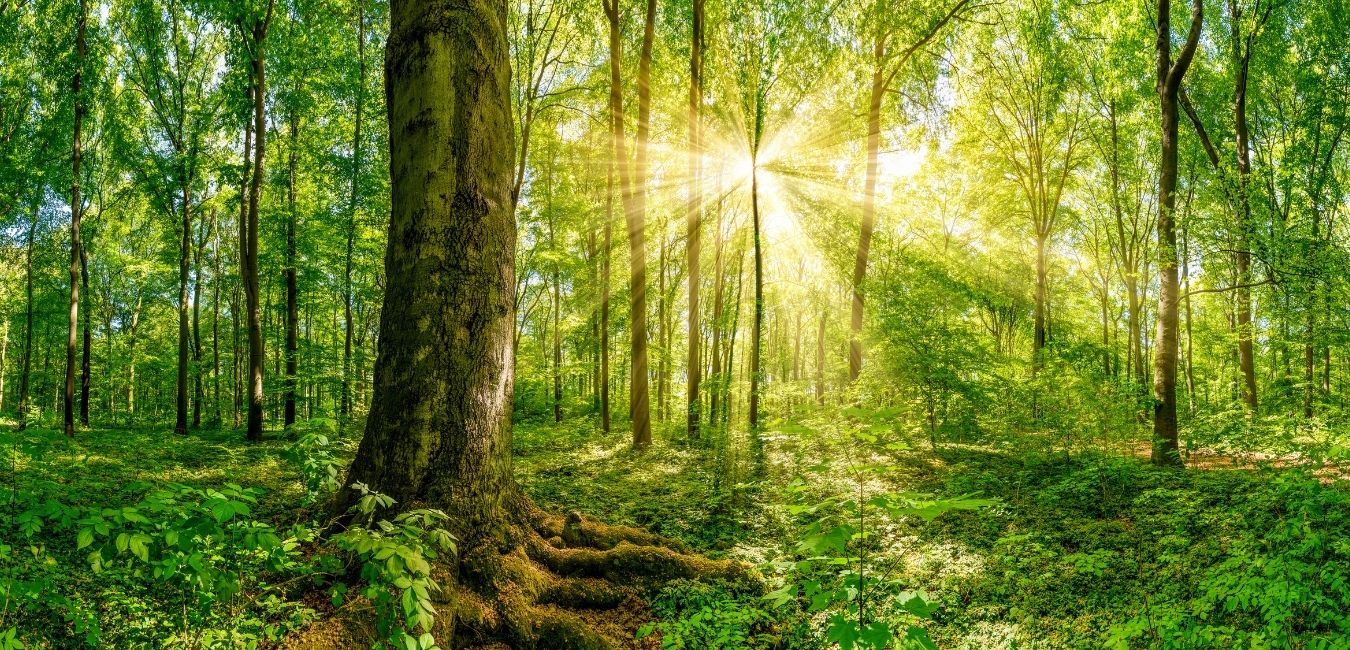 New Eco Friendly Prodcucts in our store