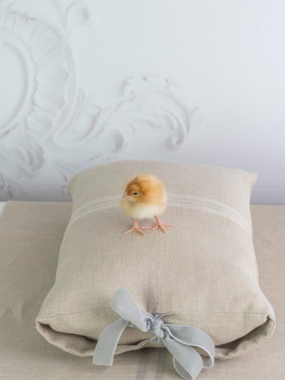 Linen Cushion with Navy/Sage/White Velvet Bow